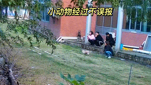 用數(shù)據(jù)說話，風(fēng)雨小動(dòng)物不誤報(bào)！(圖13)